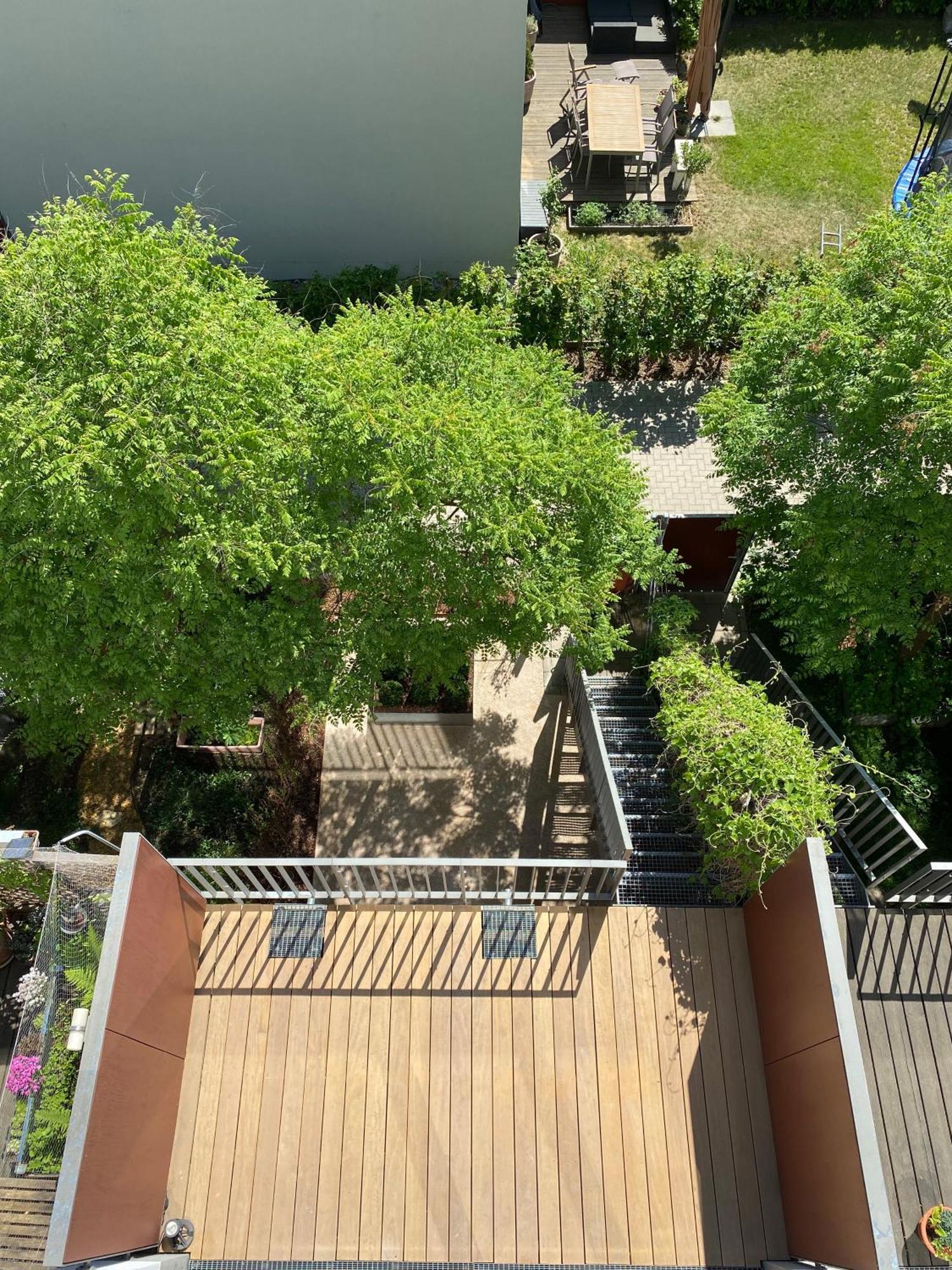 드레스덴 Townhouse Alaunpark 빌라 외부 사진